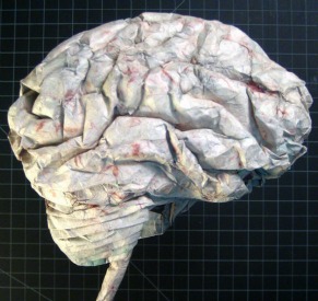 cervell de paper