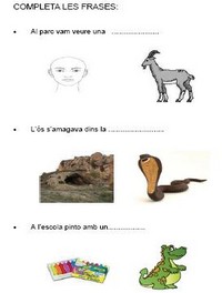 Completar frases