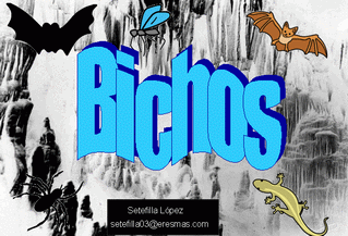 portada de bichos