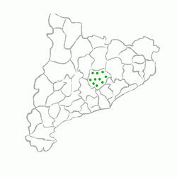 municipi