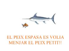 El peix espassa és volia menjar al peixpetit