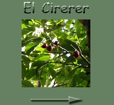 El cirerer
Pgina web amb continguts per l'alumnat amb NEE