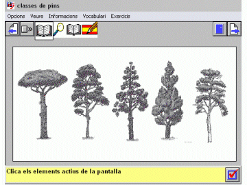 Clasificaci dels pins -Infograf-