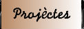 Projectes