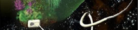 La matèria orgànica com a font d'energia La matèria orgànica com a font d'energia
