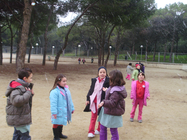 neu_grup3