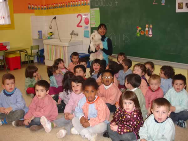 gosseta5