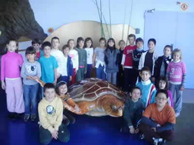 fotogrup