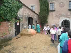 masia1