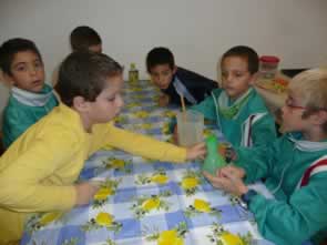 masia29