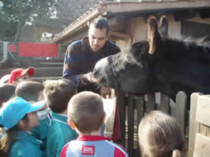 masia2