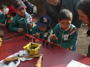 masia (4)