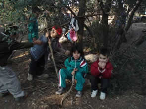 masia (6)