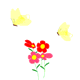 mariposas