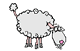 ovella