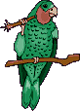gifpajaro