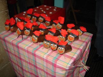 CEIP Castanyer (Sant Joan les Fonts)