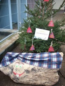 CEIP Segimon Comas (Sant Quirze de Besora)