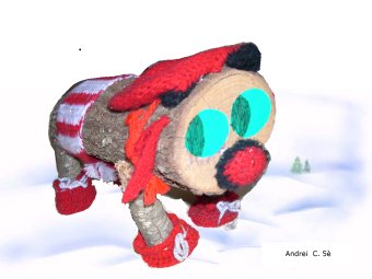 CEIP Sant Josep de Calassan� (Lleida)