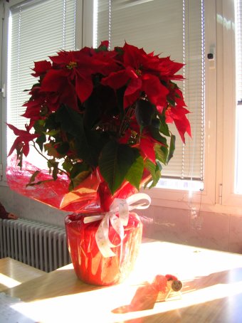 Col�legi Monalco (Igualada)