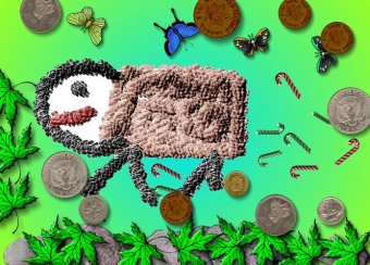 CEIP Reixac (Montcada i Reixac)