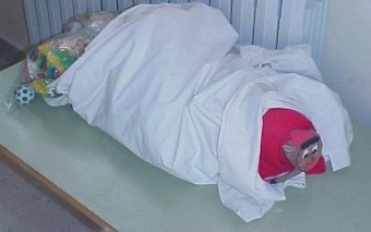 CEIP Roc Llop i Convalia (Miravet)