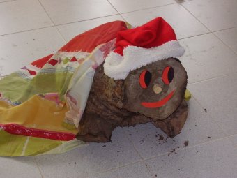 CEIP Els Valentins (Vilamacolum)