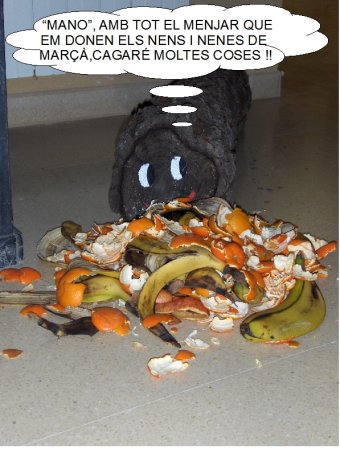 CEIP Anicet Villar (Mar��)