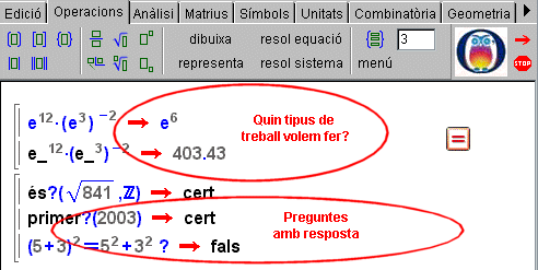 Wiris i el treball conceptual