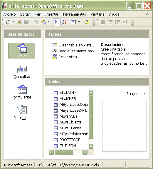 Fitxer d116.mdb des de Open Office