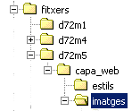 Estructura de carpetes al CD