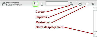 Opcions FlashPaper