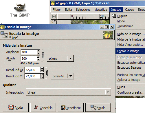 Escalar una imatge amb GIMP