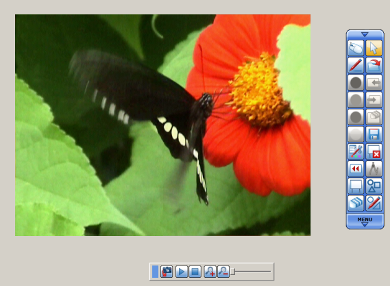 movie_example.png
