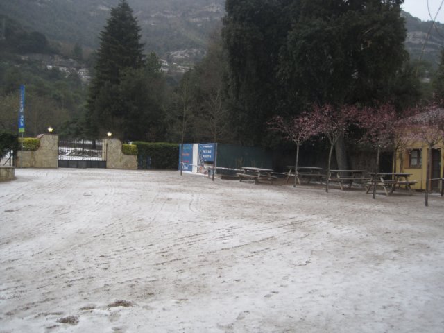 imagen188.jpg