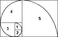 Obtenci del rectangle auri amb la srie de Fibonacci