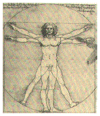 Canon de L. da Vinci (prop. uria)