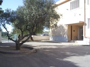 Entrada 1r. cicle.