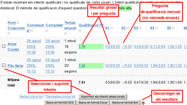 Pgina de resum de qualificacions d'un qestionari.