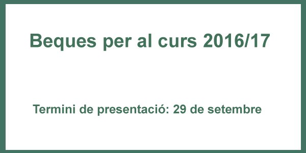 beques Web del Consorci d'Educació