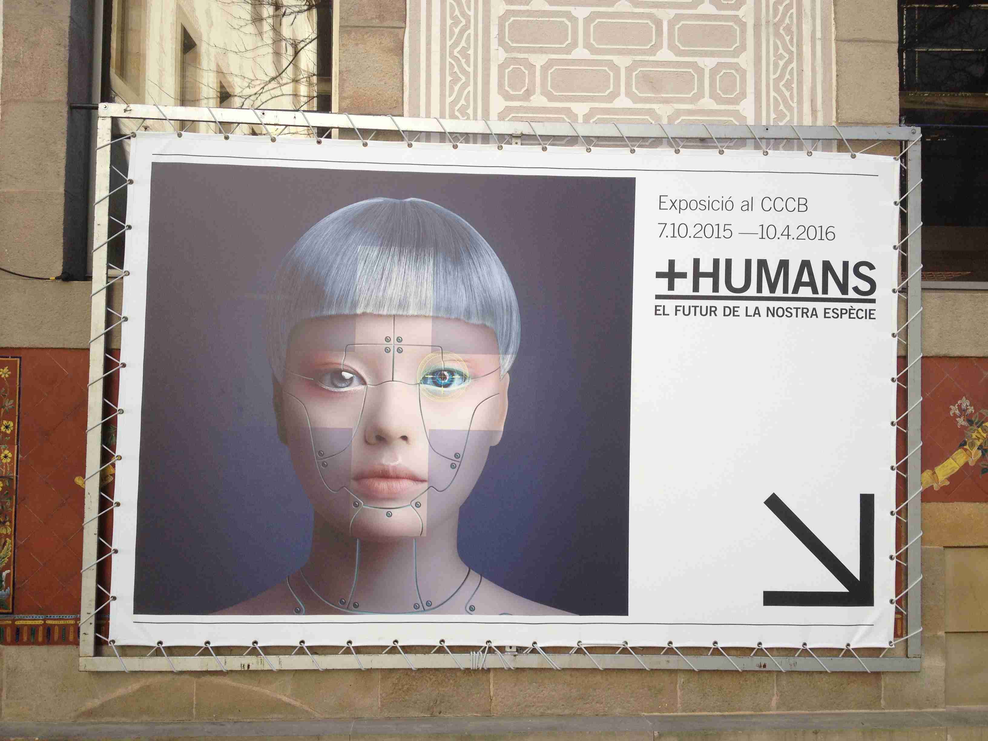 humans