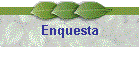 Enquesta