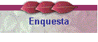 Enquesta