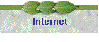 Internet