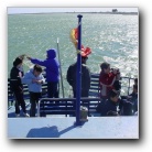 [Click to enlarge image]