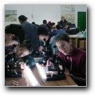 [Click to enlarge image]