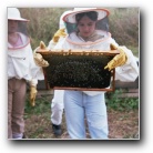 [Click to enlarge image]