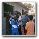 [Click to enlarge image]