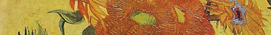 /img_seccions/rec_ccss_hart.png