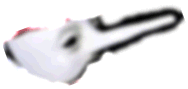 gift gift.gif